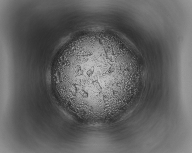 X0000112160729200908211434