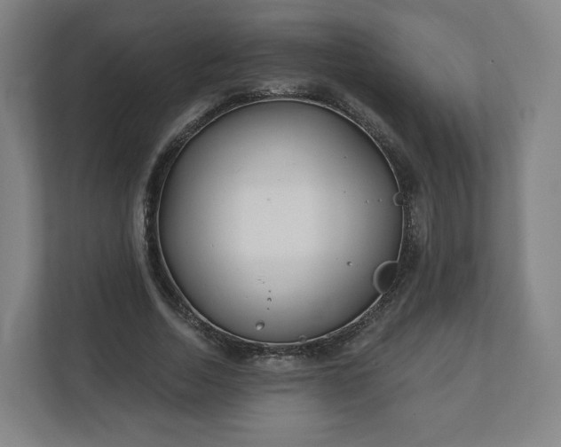 X0000112160730200908211434