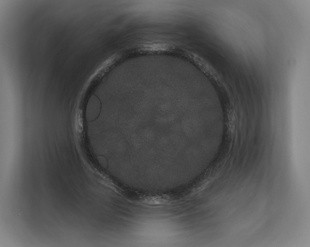 X0000112160731200908211434
