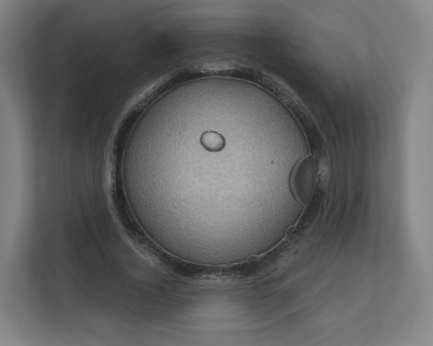 X0000112160732200908211434