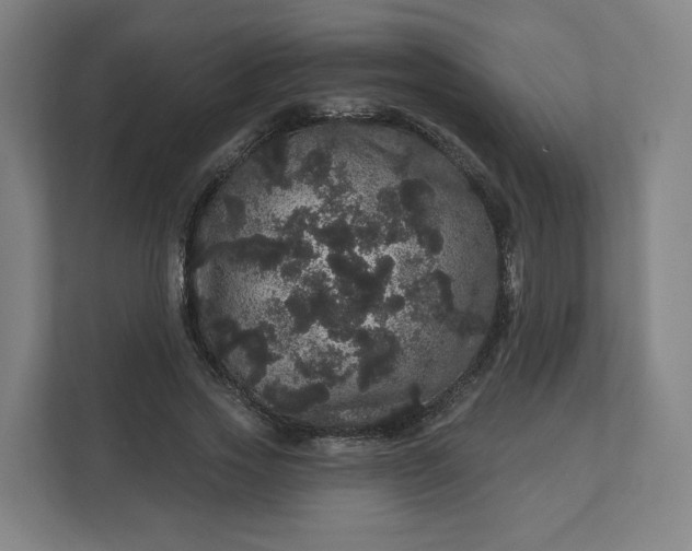 X0000112160733200908211434