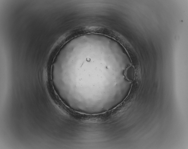 X0000112160734200908211434