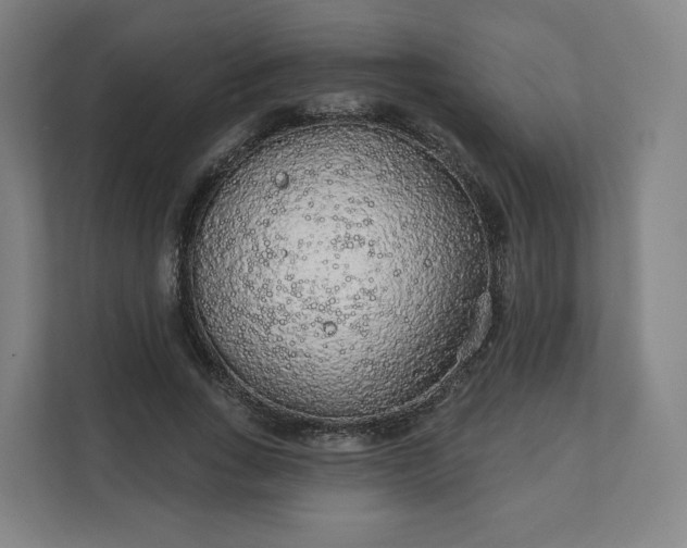 X0000112160735200908211434