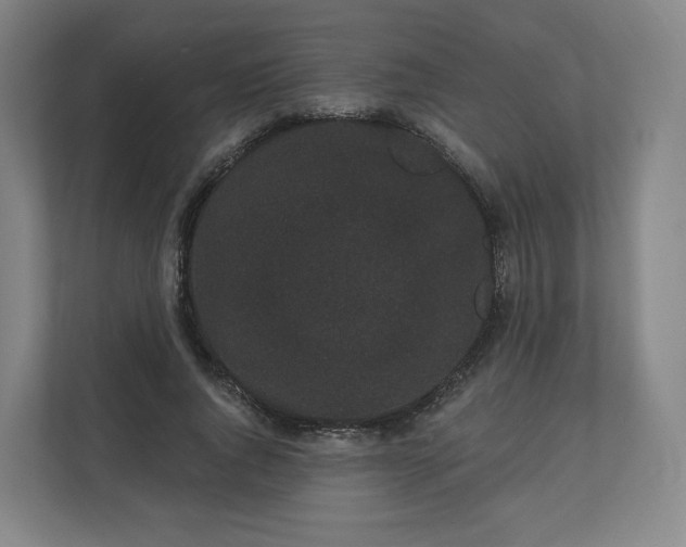 X0000112160736200908211434