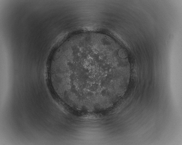 X0000112160738200908211434