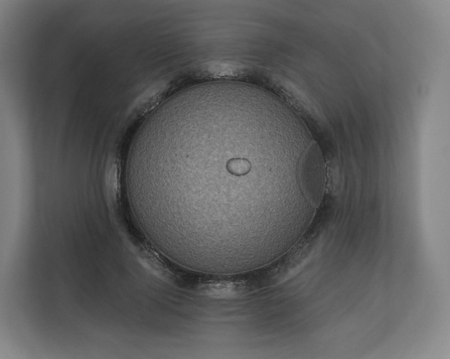 X0000112160740200908211434