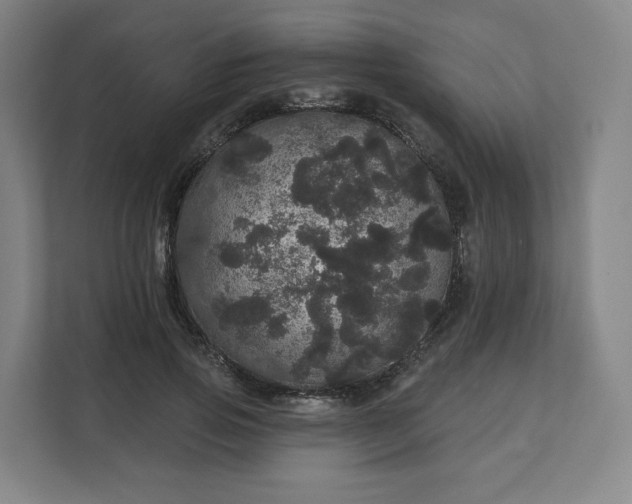 X0000112160741200908211434