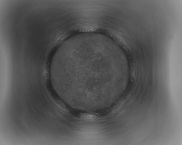X0000112160743200908211434