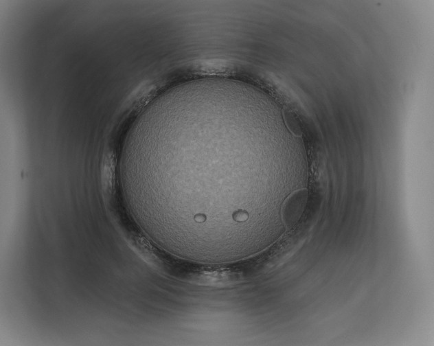 X0000112160744200908211434