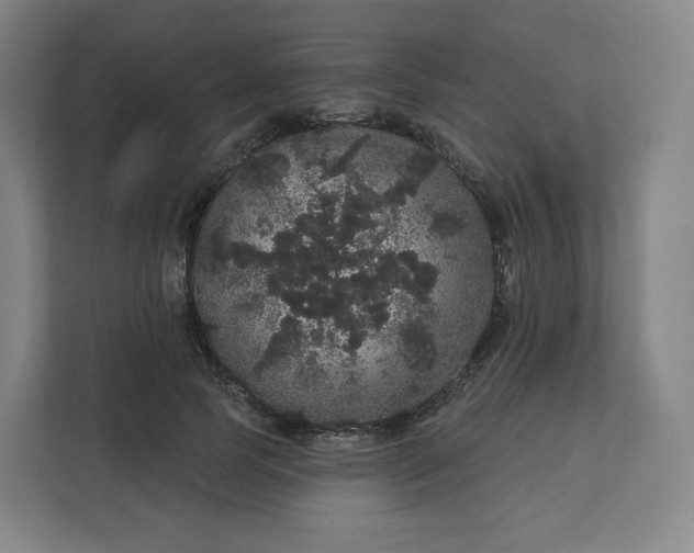 X0000112160745200908211434