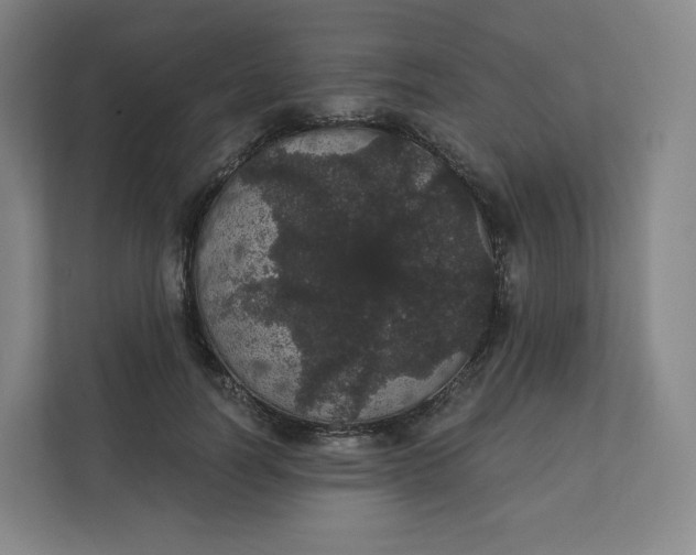 X0000112160746200908211434