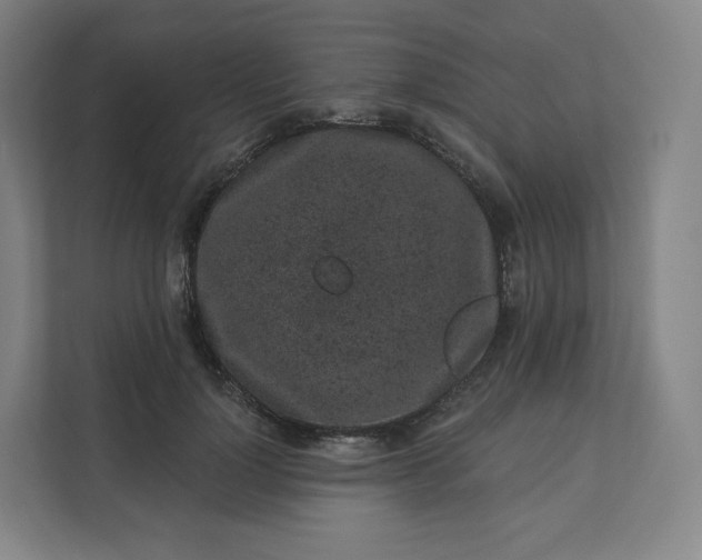 X0000112160748200908211434