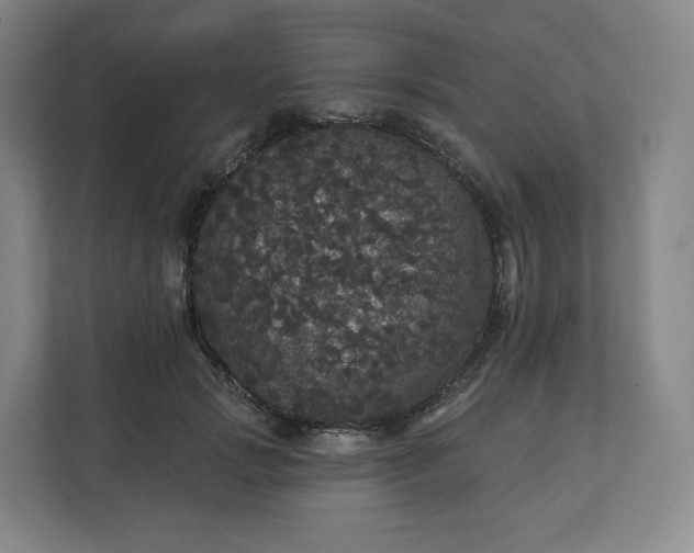 X0000112160749200908211434
