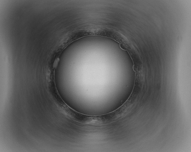X0000112160750200908211434