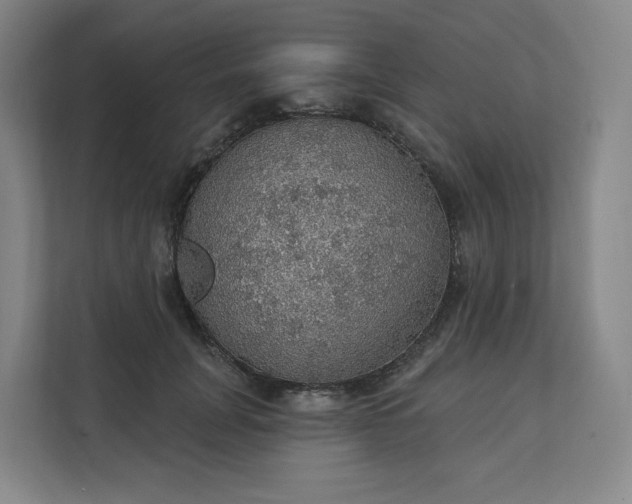 X0000112160751200908211434