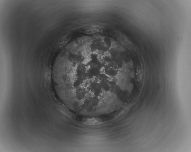 X0000112160753200908211434