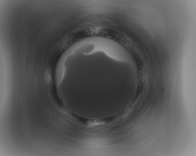 X0000112160754200908211434