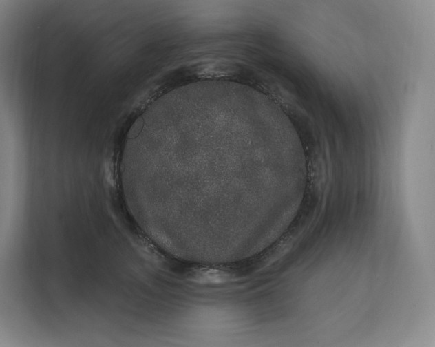 X0000112160755200908211434