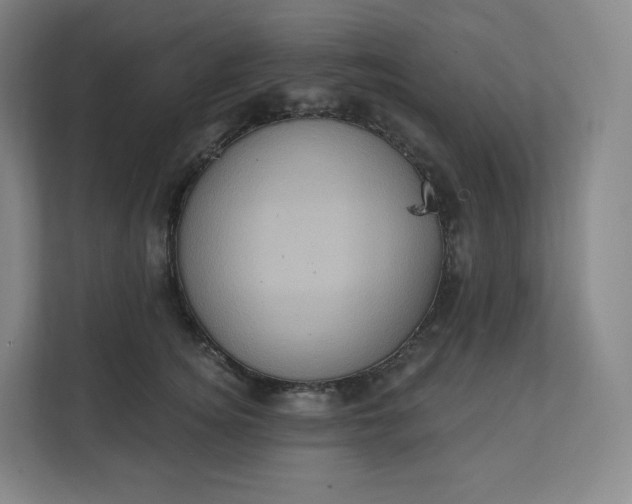 X0000112160756200908211434