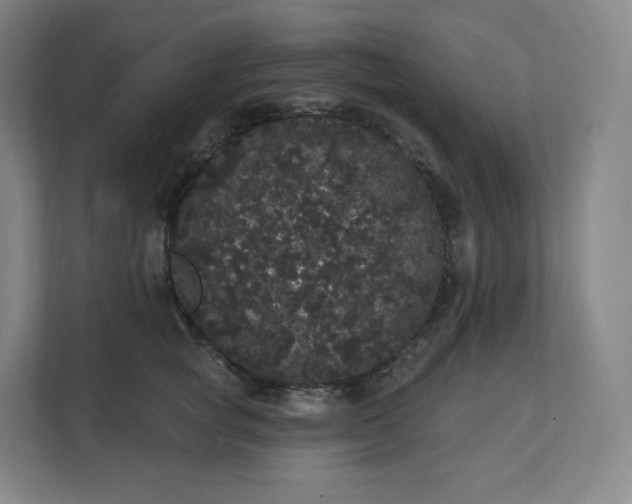 X0000112160757200908211434