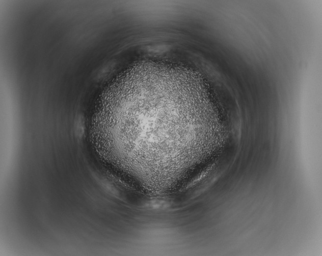 X0000112160758200908211434