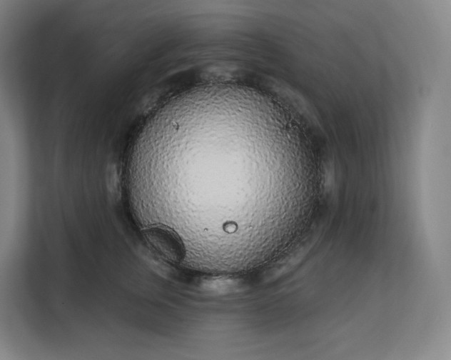 X0000112160759200908211434