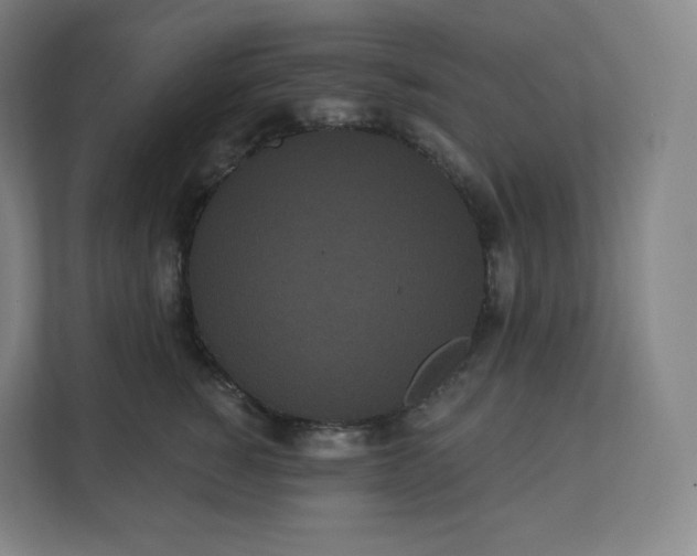 X0000112160760200908211434
