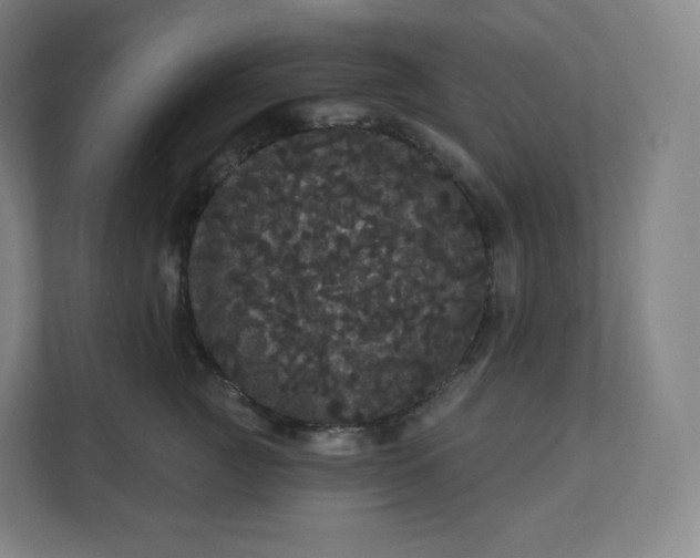X0000112160761200908211434