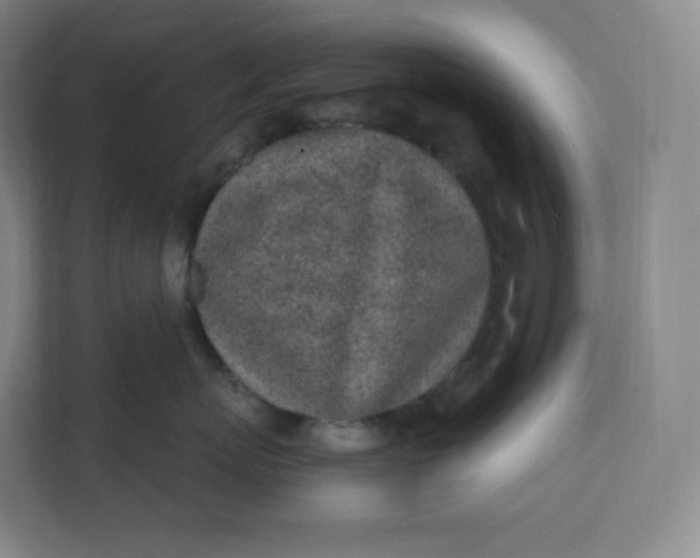 X0000112160767200908211434