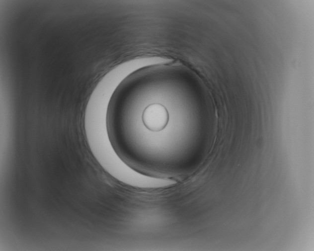 X0000112160768200908211434
