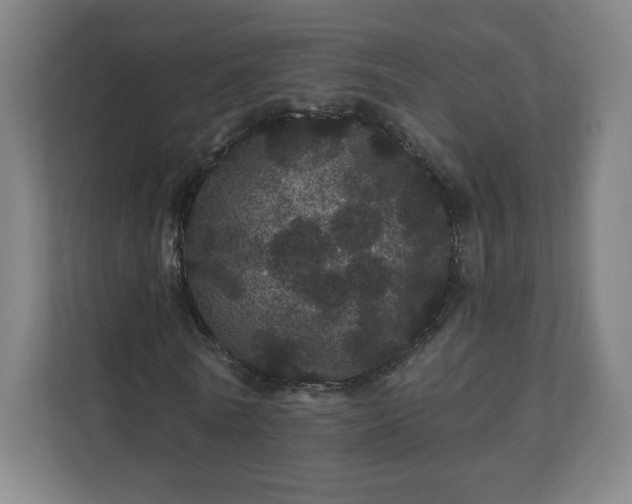 X0000112160770200908211433