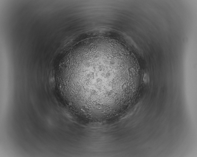X0000112160771200908211433