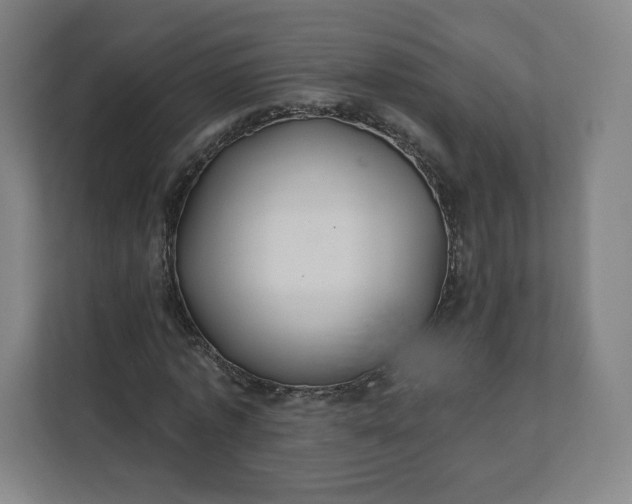 X0000112160773200908211433