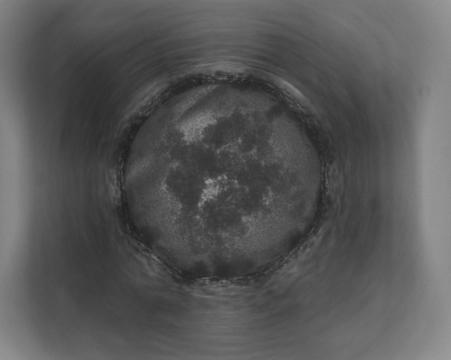 X0000112160774200908211433