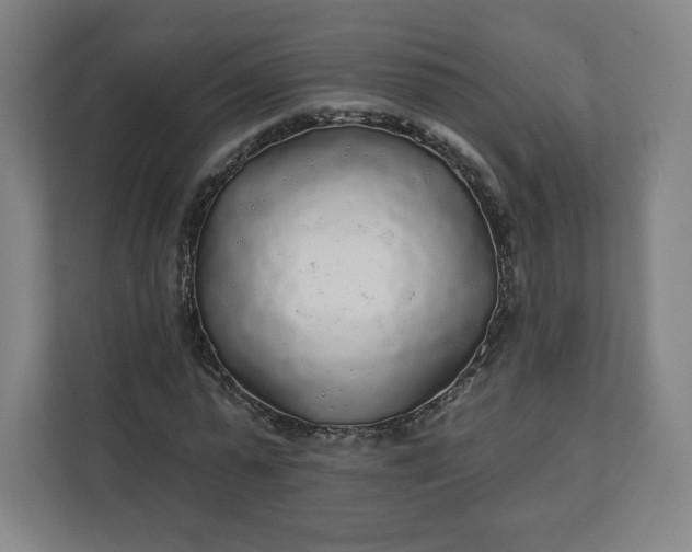 X0000112160775200908211433