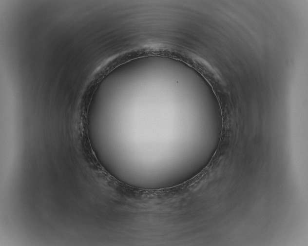 X0000112160776200908211433
