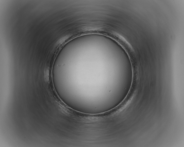 X0000112160777200908211433