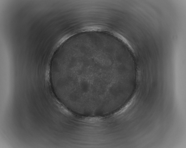 X0000112160778200908211433