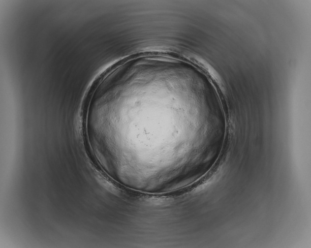 X0000112160779200908211433