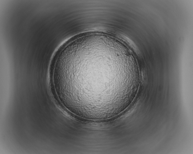 X0000112160780200908211433