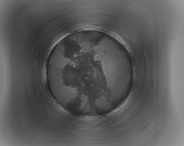 X0000112160782200908211433