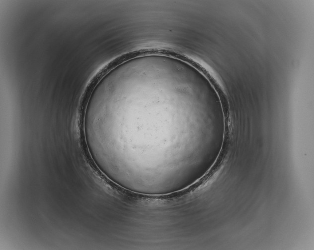 X0000112160783200908211433