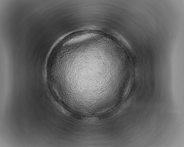X0000112160784200908211433