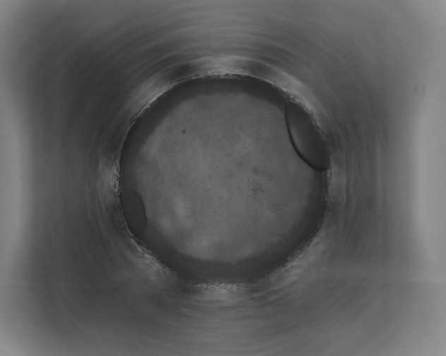 X0000112160785200908211433