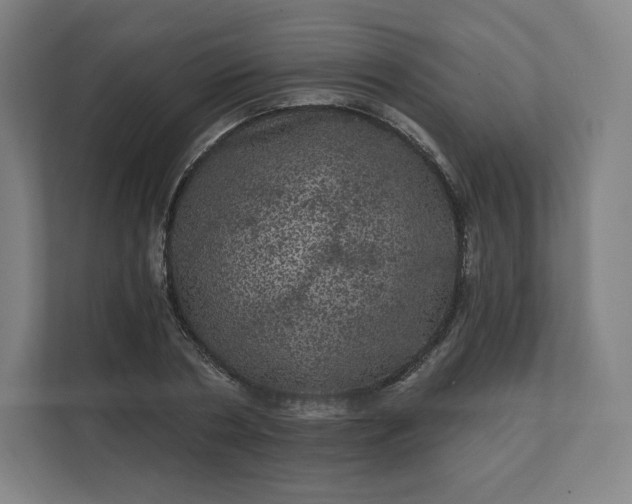 X0000112160786200908211433