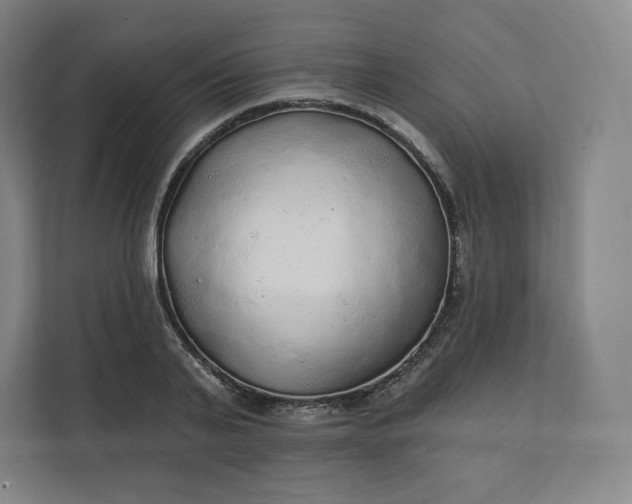 X0000112160791200908211433