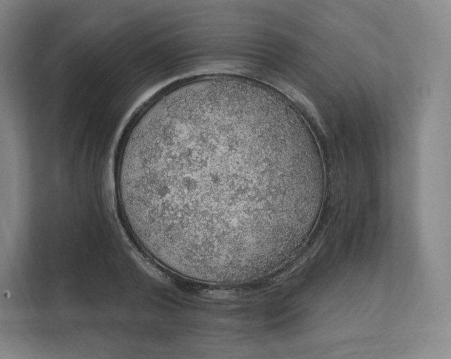 X0000112160792200908211433