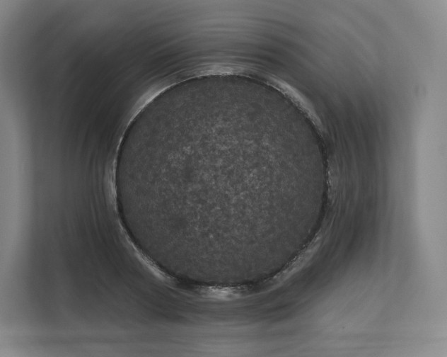 X0000112160794200908211433