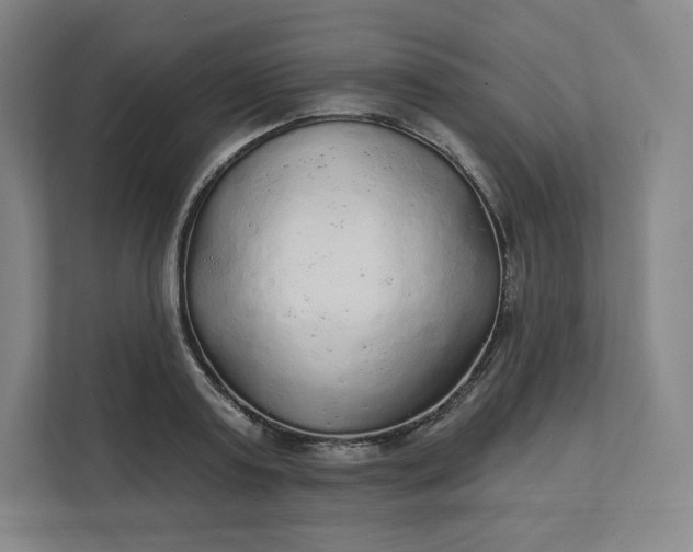 X0000112160795200908211433