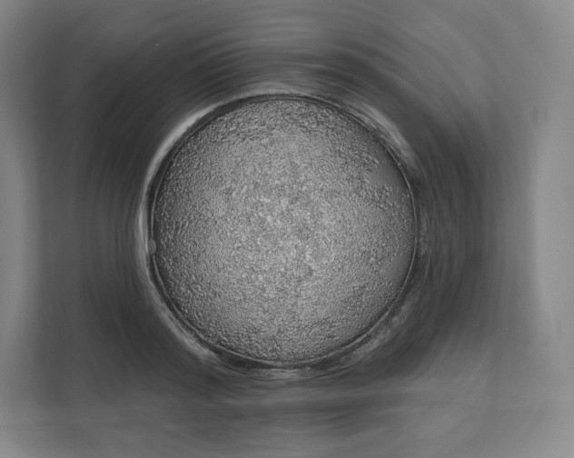 X0000112160796200908211433